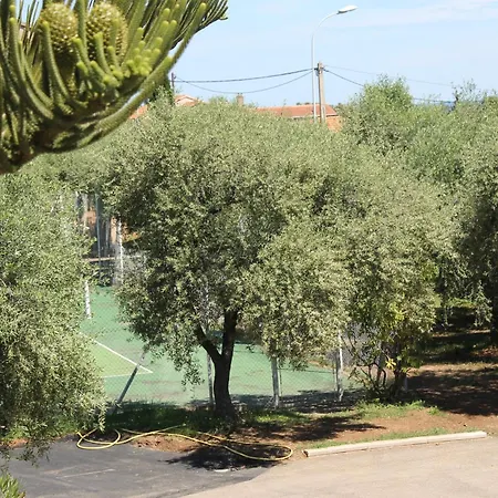 Aparthotel Domaine Le Clos Des Oliviers Sorbo-Ocagnano