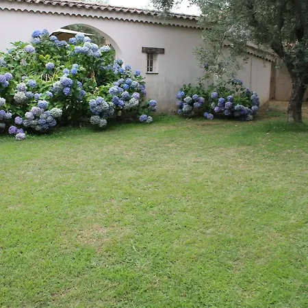 Domaine Le Clos Des Oliviers Aparthotel Sorbo-Ocagnano