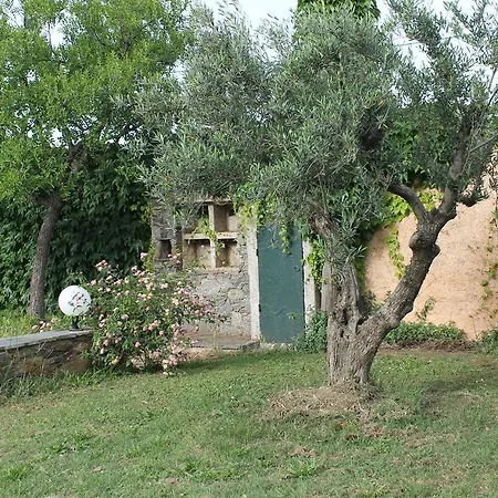 Domaine Le Clos Des Oliviers