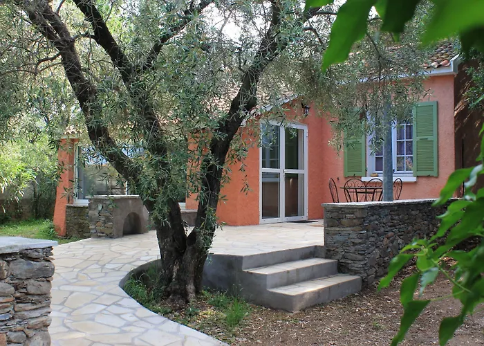 Domaine Le Clos Des Oliviers Sorbo-Ocagnano
