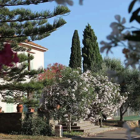 Domaine Le Clos Des Oliviers 3* Sorbo-Ocagnano