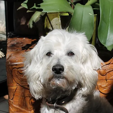 Aparthotel Domaine Le Clos Des Oliviers