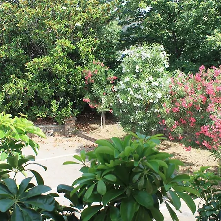 Apart Otel Domaine Le Clos Des Oliviers 2*