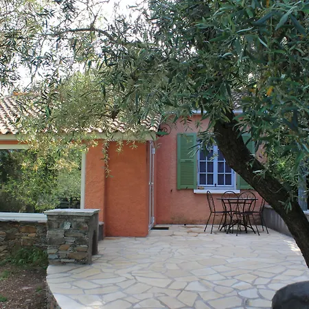 Domaine Le Clos Des Oliviers Sorbo-Ocagnano