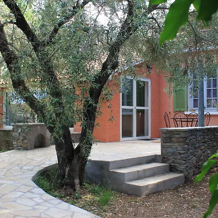 Domaine Le Clos Des Oliviers Sorbo-Ocagnano