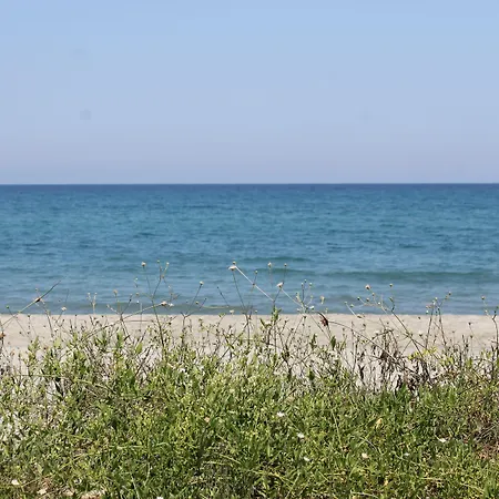 شقة فندقية Domaine Le Clos Des Oliviers Sorbo-Ocagnano