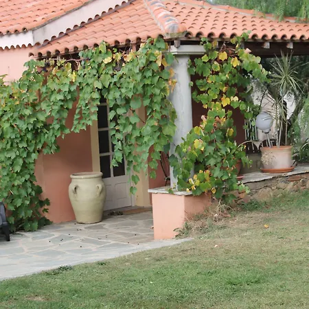 Domaine Le Clos Des Oliviers 4* Sorbo-Ocagnano