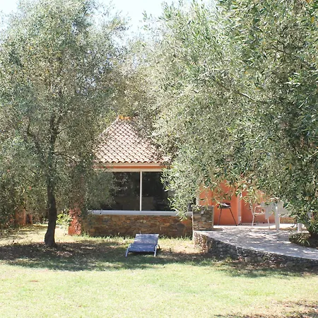 Domaine Le Clos Des Oliviers Sorbo-Ocagnano