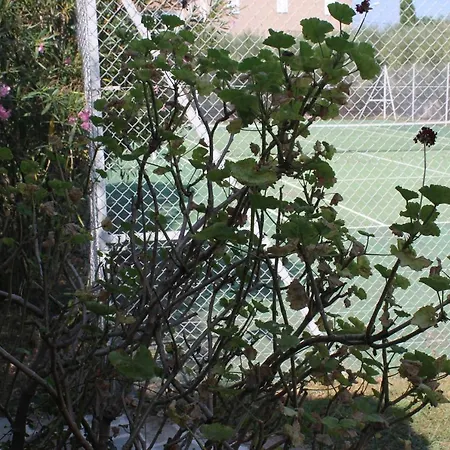 Aparthotel Domaine Le Clos Des Oliviers 3*