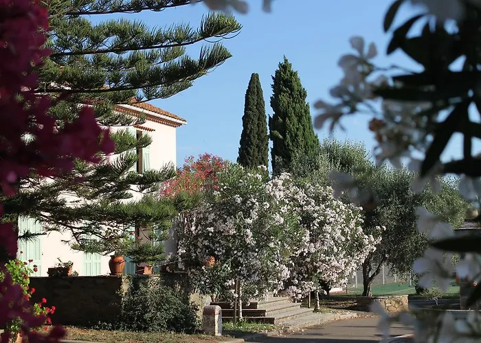 Domaine Le Clos Des Oliviers 3* Sorbo-Ocagnano