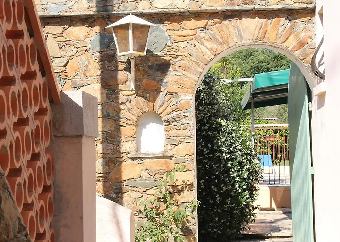 Domaine Le Clos Des Oliviers Sorbo-Ocagnano