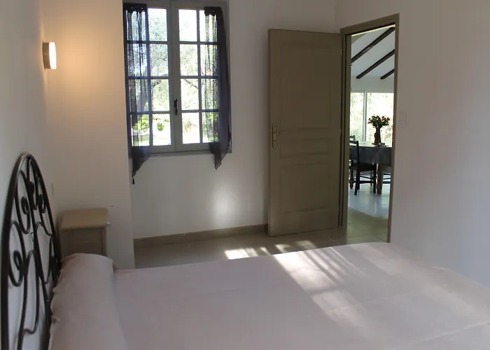 Domaine Le Clos Des Oliviers Sorbo-Ocagnano