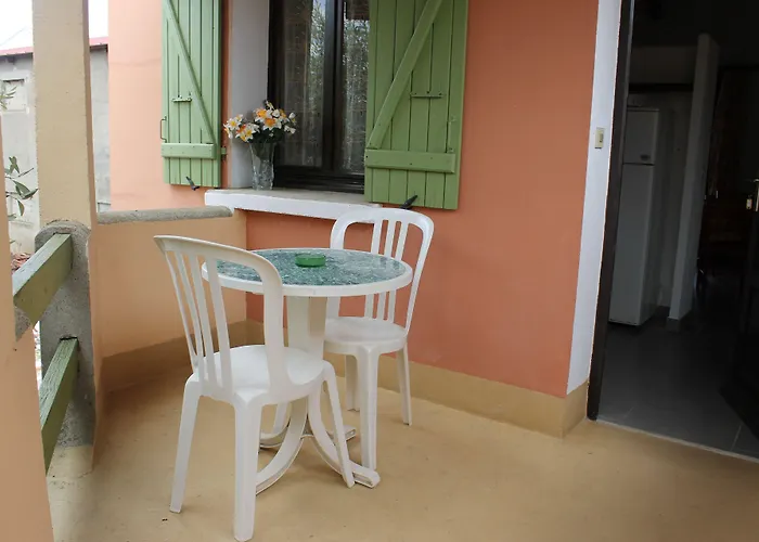 Domaine Le Clos Des Oliviers 3* Sorbo-Ocagnano