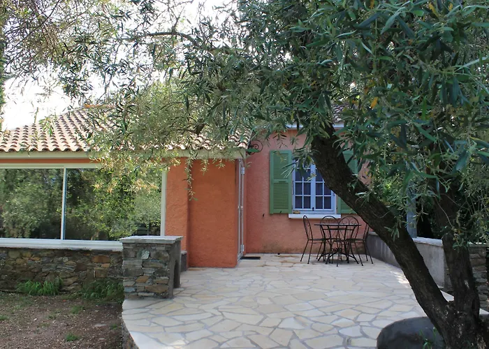 Domaine Le Clos Des Oliviers Sorbo-Ocagnano