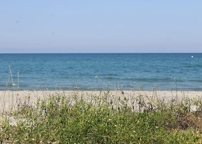 Aparthotel Domaine Le Clos Des Oliviers Sorbo-Ocagnano