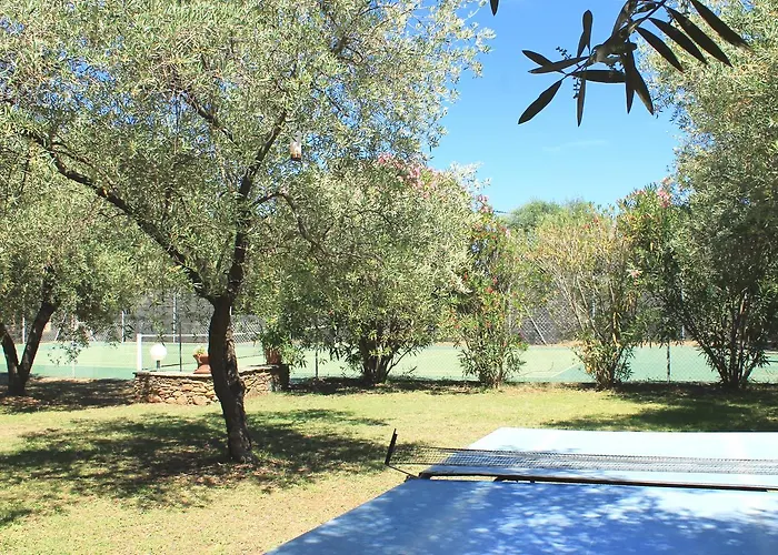 Domaine Le Clos Des Oliviers 3* Sorbo-Ocagnano