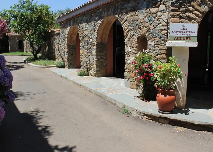 Domaine Le Clos Des Oliviers 3* Sorbo-Ocagnano