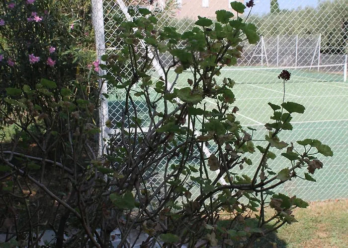 Aparthotel Domaine Le Clos Des Oliviers 3*