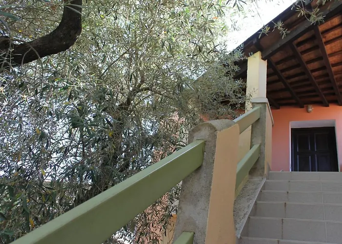 Domaine Le Clos Des Oliviers Sorbo-Ocagnano